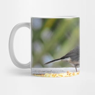 Hungry Dark-eyed Junco Mug